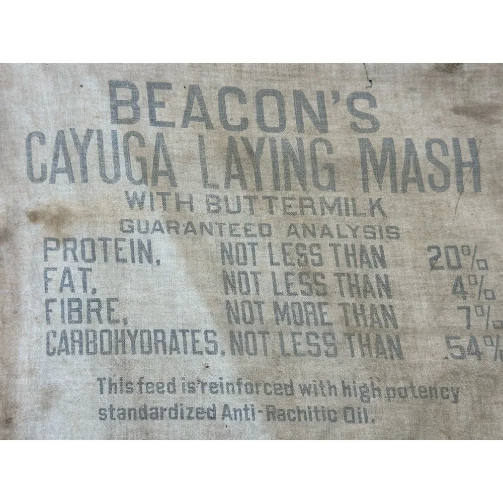 Vintage Cayuga Chicken Feed Bag‎ Beacon Milling Co Laying Mash Indian Chief Head